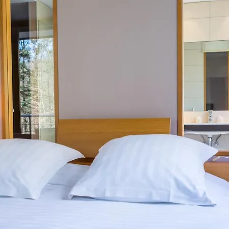 Restaurant Hotel L'Arnsbourg Hotel 4*