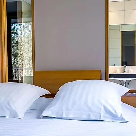 Hotel Restaurant Hotel L'Arnsbourg 4*